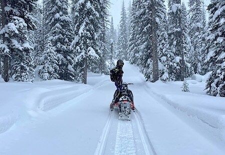 Snowmobile rider traveling through a snow-covered evergreen forest