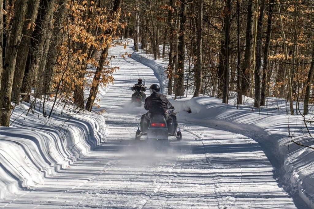 Two snowmobilers ride along a snow-covered forest trail